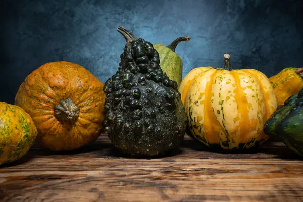 Variety Small Decorative Pumpkins Kinds Ornamental Gourds Squash Types Autumn — Stock Photo, Image