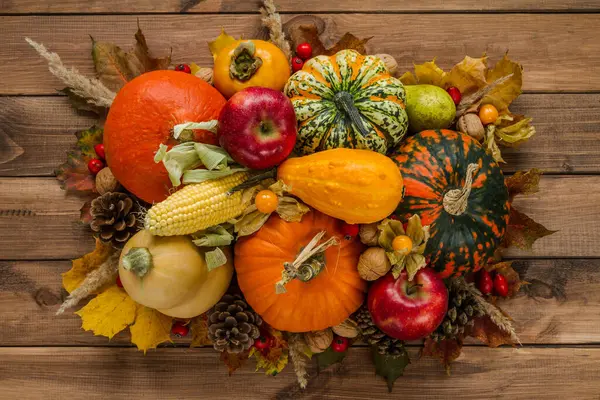 Yenilebilir ve dekoratif kabak ve balkabağı çeşitleri. Kozalaklı, fındıklı, mısır kozalaklı, kaki, gül kalçası, physalis peruviana meyvesi ve sonbahar yapraklı farklı kabak türlerinin düz bileşimi..