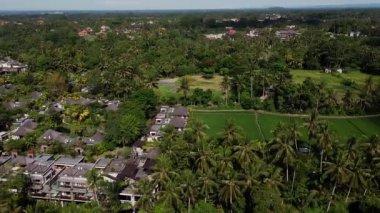 Ubud 'daki yemyeşil pirinç teraslarıyla çevrili kırmızı kiremitli geleneksel Bali köyünün hava manzarası..