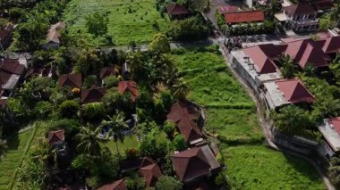 Geleneksel Bali Mimarisi Pirinç Tarlaları Arasında Konforlu Villaların Hava Görüntüsü