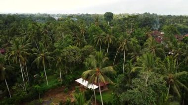 Bali 'nin yağmur ormanları köylerinin saklı güzelliğini keşfedin.