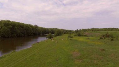 Nehrin yanındaki çayır. Hava fotoğrafçılığı