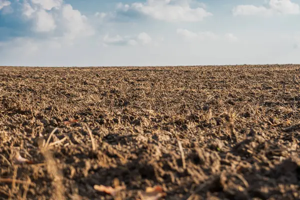 耕作された田 乾燥した土地の閉鎖 — ストック写真