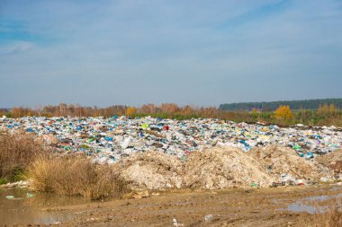 Çöplük alanına bir yığın ev çöpü. Orman arka planda.