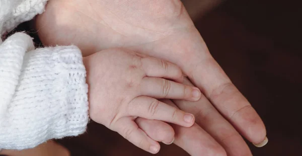 Рука Новорожденного Рука Ребенка Руках Матери Крупным Планом Новая Концепция — стоковое фото