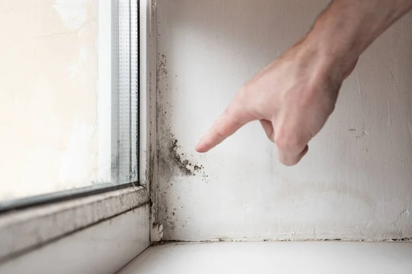 Man points his finger at fungus in the corner of the window Dangerous fungus that needs to be destroyed. The problem of ventilation.