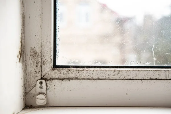 House window with damp and condensation.
