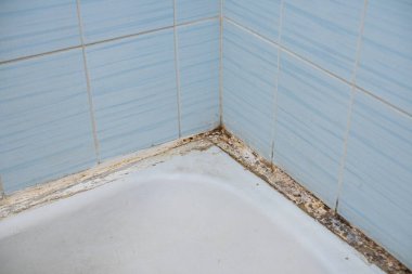 Black mold and fungus on tiles in a bathroom. Dampness and humidity.