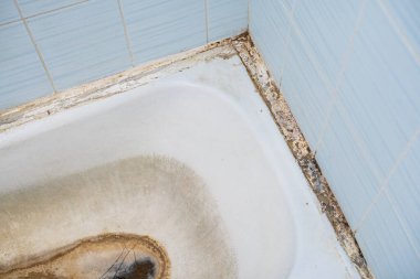 Old dirty bathtub with fungus and mold. Concept cleaning and health.