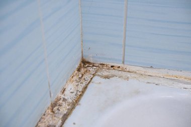 Accumulation of germs time to make repairs.