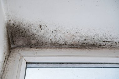 Slope near the window fungus moisture.