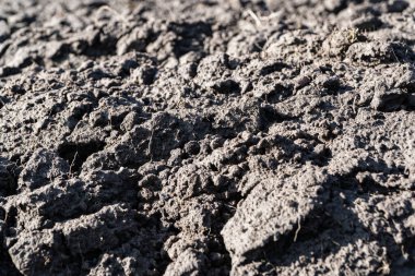 Field soil close up. Agricultural plowed field. Soil texture.