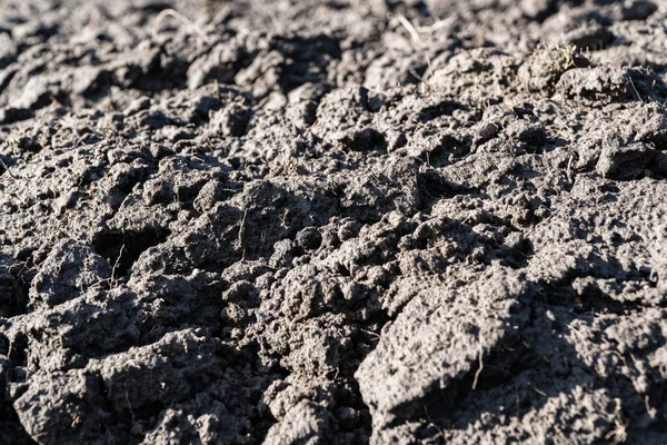 Field Soil Close Agricultural Plowed Field Soil Texture — Photo