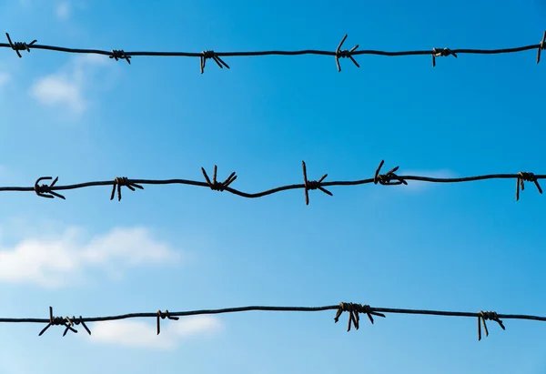 Barbed wire mesh and blue sky. Concept of prison, freedom, barrier.