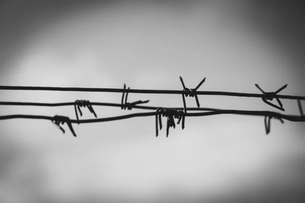 Barbed wire, black and white photo. The concept of prison, crime, safety, border.