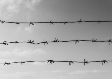 Barbed wire. Concept of imprisonment, slavery, human rights, freedom.