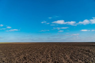 View to spring landscape in sunny day with an agricultural plowed field and blue sky. Natural background.