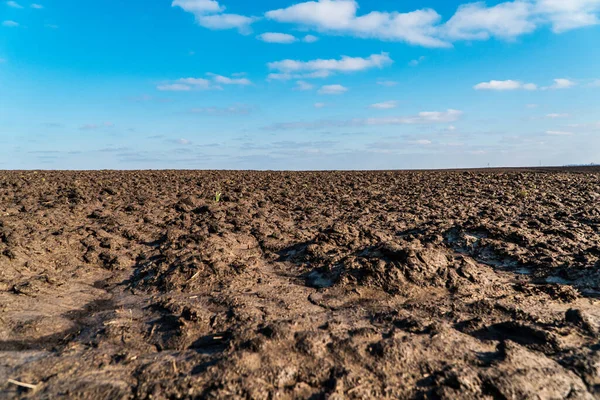 Landscape Agricultural Plowed Winter Field Sunny Day Field Soil Close — Photo