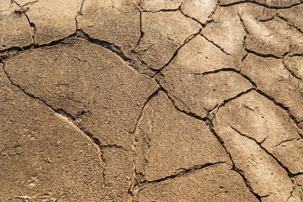 Суха Потріскана Земля Зміна Клімату Посуха Суха Тріщина Текстури Грунту — стокове фото