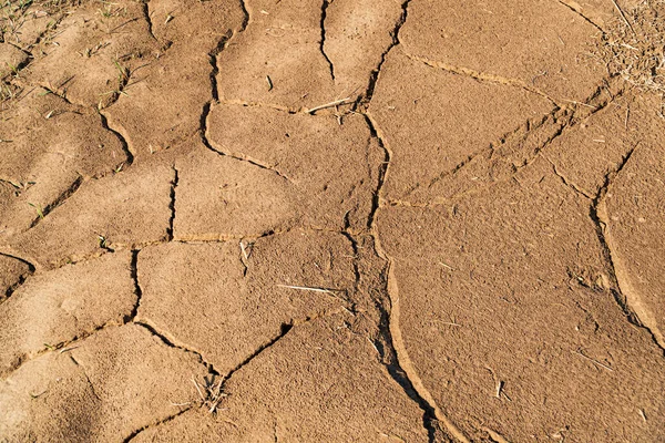 Rissige Trockene Erde Trockenes Feld Und Rissige Erde Schlechte Ernte — Stockfoto