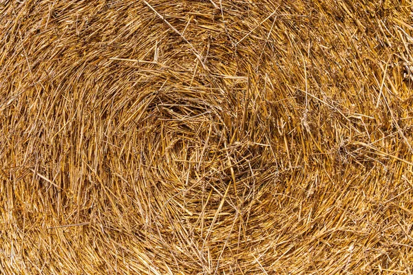 ヘイテクスチャ 乾燥した黄色のわら草の背景 — ストック写真