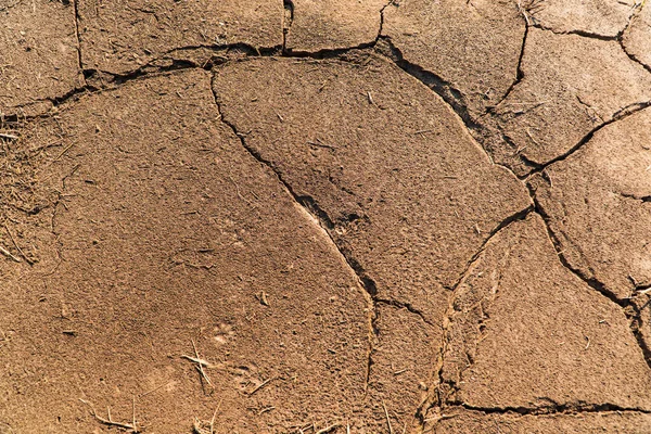Земля Має Тріщини Зверху Тріщина Ґрунту — стокове фото
