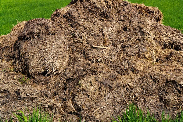 緑のフィールドに横たわっている杭を手動で 天然肥料 — ストック写真