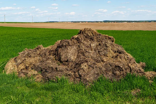 フィールド上の腐植質肥料の山の肥沃化 — ストック写真