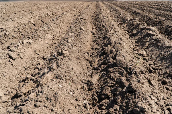 Beautiful Plowed Field Even Rows Plowed Field Plowed Field Spring — Stock Photo, Image
