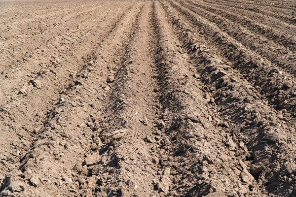 Beautifully Plowed Field Plowed Field Spring — Stock Photo, Image