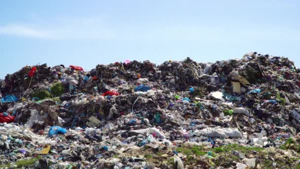 Garbage Dump Landfill Garbage Disposal Concept Pollution — Stock Video