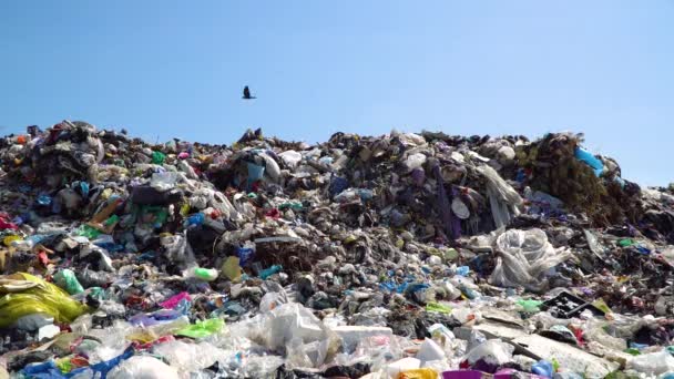 在垃圾填埋场堆放生活垃圾 一堆臭气熏天的有毒残留物生态问题 — 图库视频影像