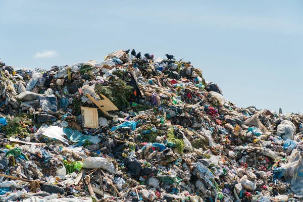 Landfill Pile Stinky Toxic Residue Ecology Problem — Stock Photo, Image