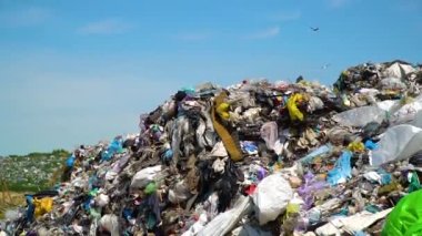 Çöplükte bir yığın ev çöpü. Şehir çöplüğü. Kara kirliliği.