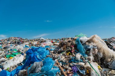 Çevre felaketi. Fıçı. Çöp sahasında plastik hurda. Şehir çöplüğü.