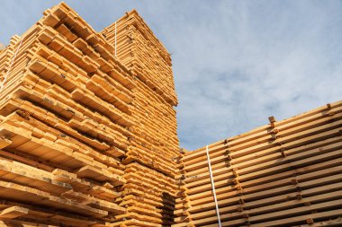 Kereste fabrikasında pürüzlü ladin ve çam kerestesi yığını. Kereste üretim fabrikasındaki tahta yığınları..