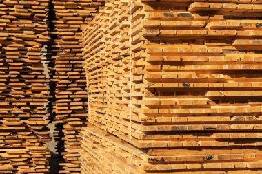 Kereste atölyesinde tahta tahtalar. Ağaçtan toplanmış bir odun yığını. Sanayi geçmişi.