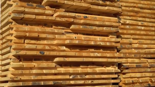 工业木材 一堆木板堆在锯木厂上 4K镜头 — 图库视频影像