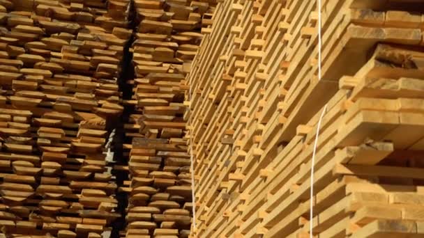 Drewniane Deski Ułożone Tartaku Przetwarzanie Drewna Tartaku Materiał — Wideo stockowe