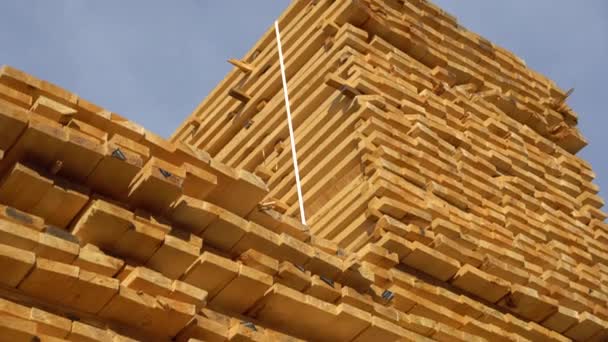 Surowy Świerk Sterta Drewna Sosnowego Tartaku Kupa Drewnianych Desek Fabryce — Wideo stockowe