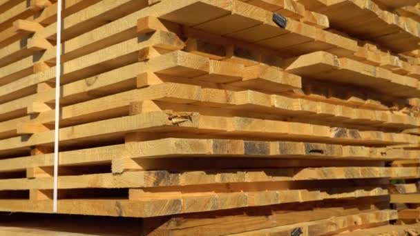 Składanie Drewnianych Desek Tartaku Drewniane Deski Wideo — Wideo stockowe