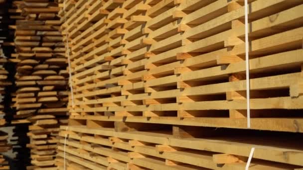 在木材业中堆放木板 生产木制板材 木柴堆放在锯木厂里的一堆木板4K镜头 — 图库视频影像