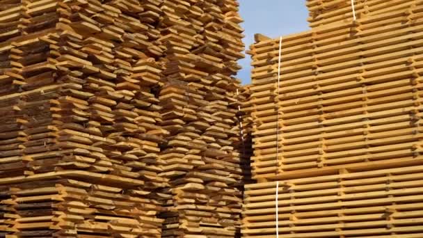 Deski Drewniane Drewno Drewno Przemysłowe Drewno Suszenie Obrót Drewnem Sterty — Wideo stockowe
