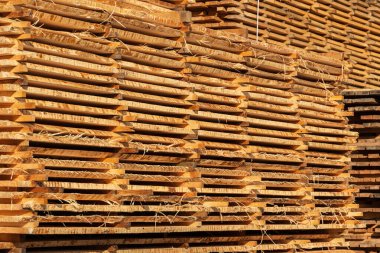 Ağaçtan toplanmış bir odun yığını. Depoda kereste yığını.