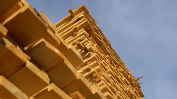 木制木板在木材仓库 木材业 — 图库视频影像