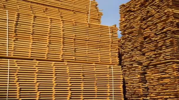 锯木厂的院子里堆放了一大堆木板 锯材干燥和销售 4K视频 — 图库视频影像