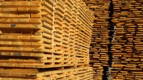 Drewniane Deski Piły Suszenie Powietrzne Drewna Wideo — Wideo stockowe