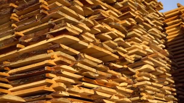 Deski Tartaku Przemysłowym Drewniany Materiał Budowlany — Wideo stockowe