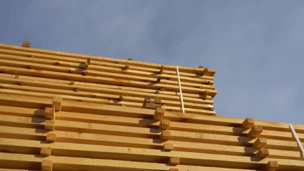 锯木厂仓库里堆放着一堆堆新的松木板 锯木厂的木板堆在一起 — 图库视频影像