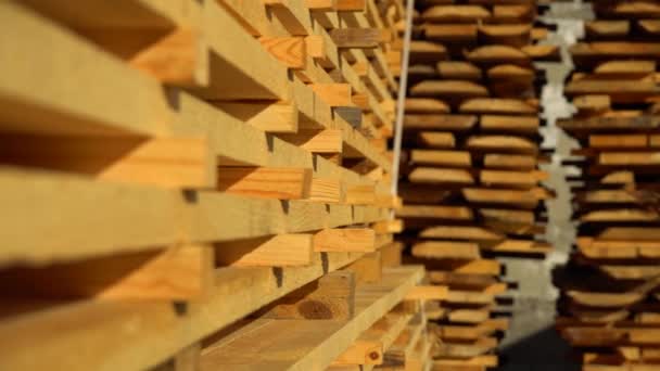 Drewniane Deski Tartaku Płyta Krawędziowa — Wideo stockowe